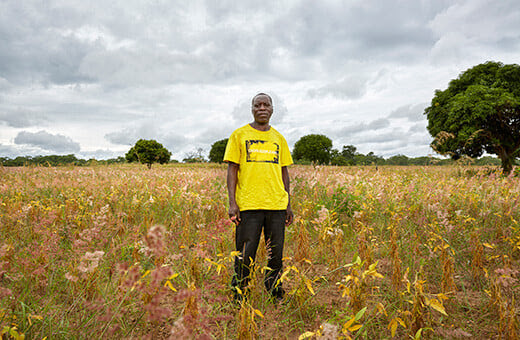 L'ancien braconnier Ronald surveille son champ de soja, à Chipelembe, en Zambie.   Photo : Julia Gunther / © IFAW