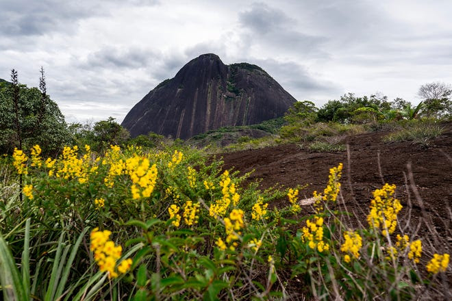Vista del Cerro Mono Mavicure en la comunidad El Remanso, en el departamento de Guania el 11 de agosto de 2024. Los Cerros Mono Mavicure son un grupo de tres monolitos -Pajarito, Mono y Mavicure de 712, 480 y 170 metros de altura, respectivamente- ubicados en el sureste de Colombia, a 50 km al sur de la ciudad de In’rida.
