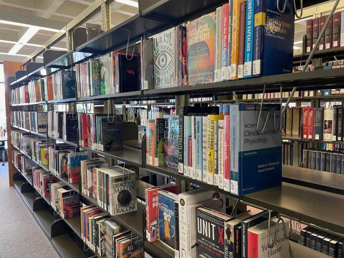 a landscape view of shelves full of books