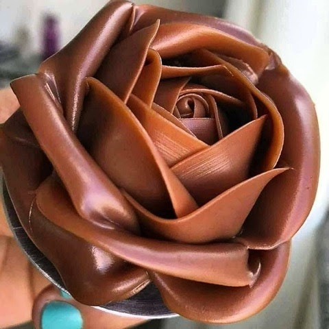 Chocolate-Rose