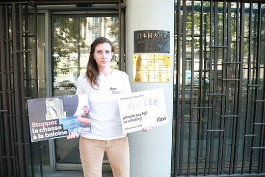 Aurore Morin, chargée de campagnes pour IFAW, devant l'ambassade du Japon à Paris