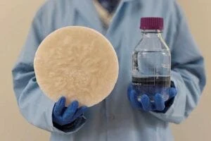 A sorbent created using biomass that can pull drinkable water out of thin air.