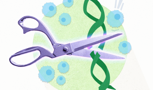 A graphic showing a pair of scissors cutting DNA, overlaid on a green circle, with immune cells nearby.