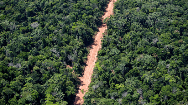 Críticos da nova legislação afirmam que ela tem o potencial de acelerar o desmatamento da Amazônia -que recebe, em novembro em Belém, a próxima conferência do clima