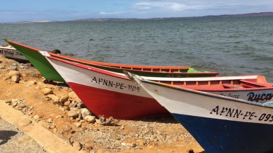 Expertos capacitan a las comunidades para que protejan los manglares en las costas de Sucre