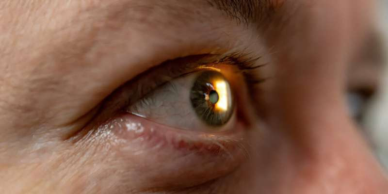 Precision gene editing could prevent vision loss from Stargardt disease