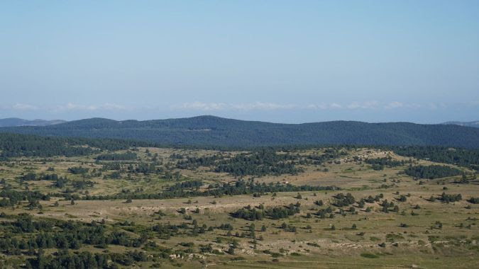 parque eólico