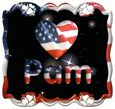 Pam-Fireworks-with-border