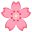 🌸