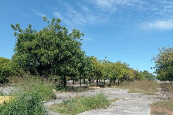 Estacionamiento del Paseo de Macuto se convirtió en una jungla peligrosa para vecinos y turistas