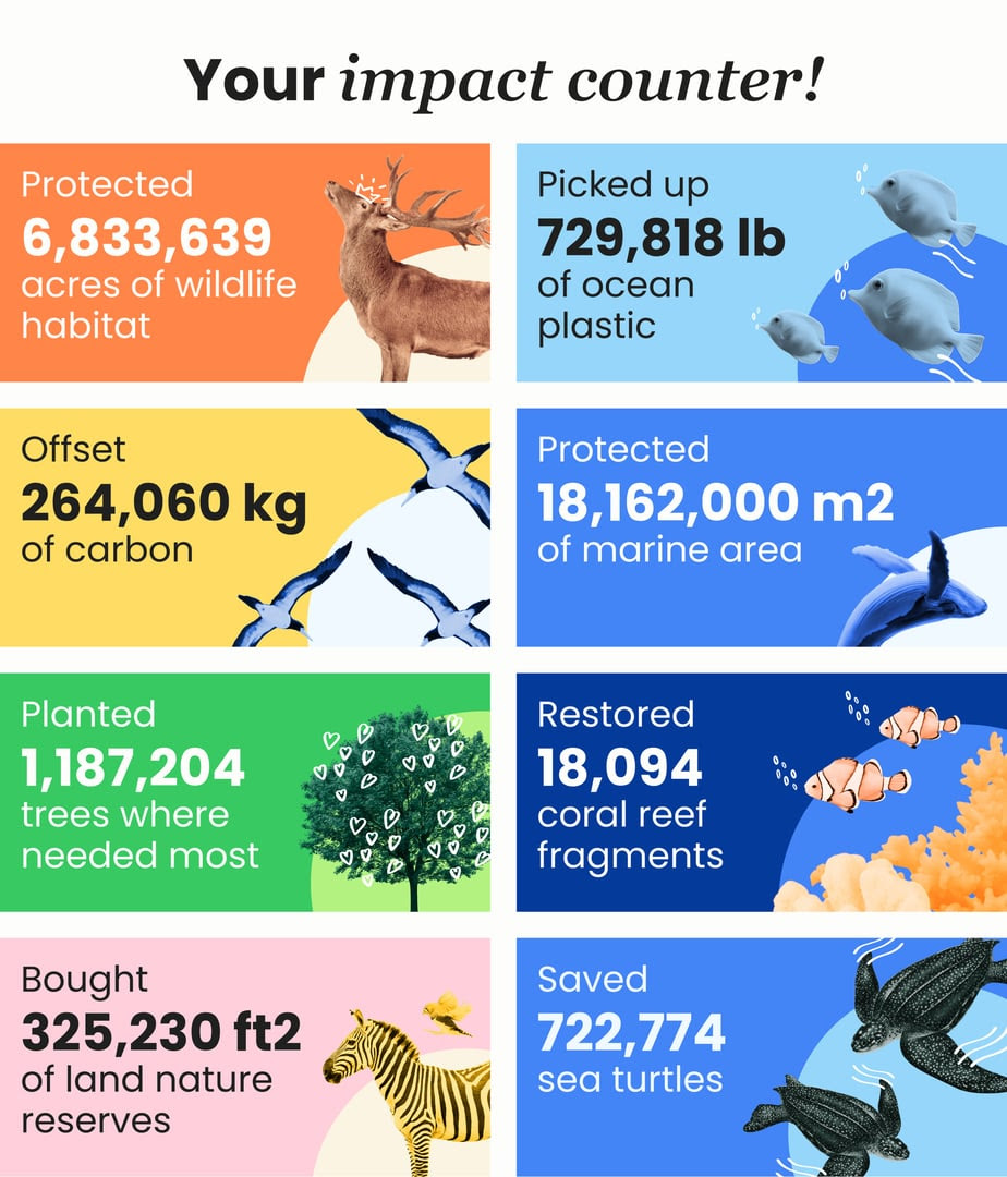 impact Counter