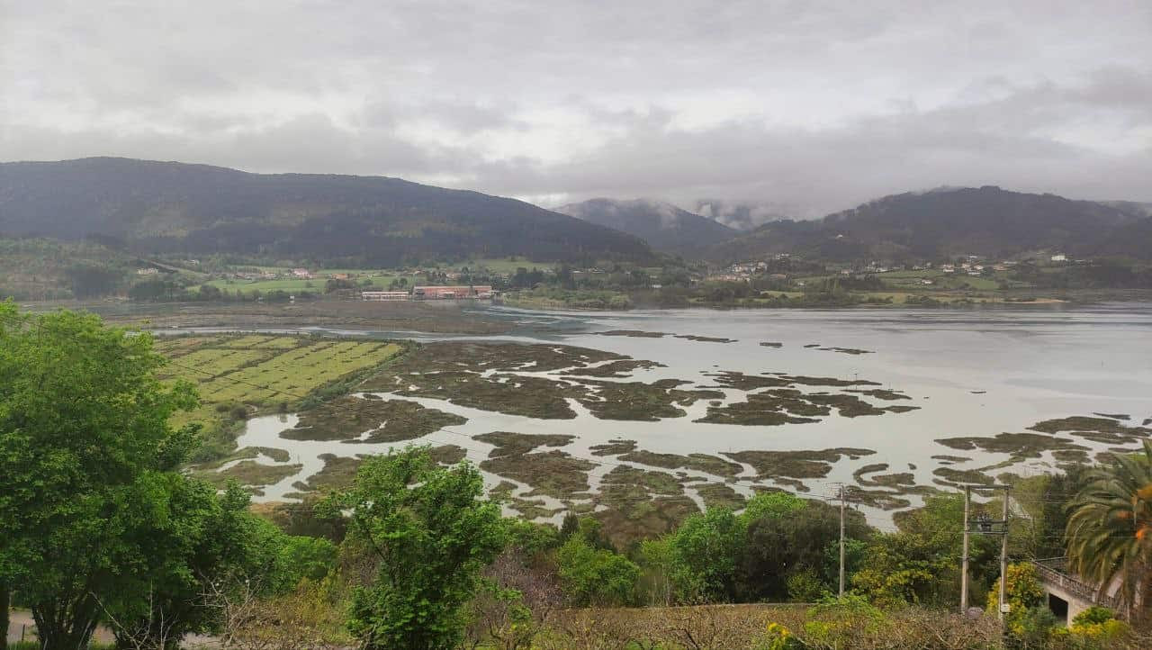 El Guggenheim de Urdaibai y Getaria, principales Banderas Negras del 2024