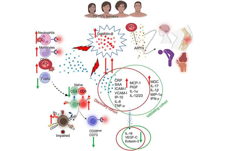 Research reveals new clues to the mysteries of long COVID