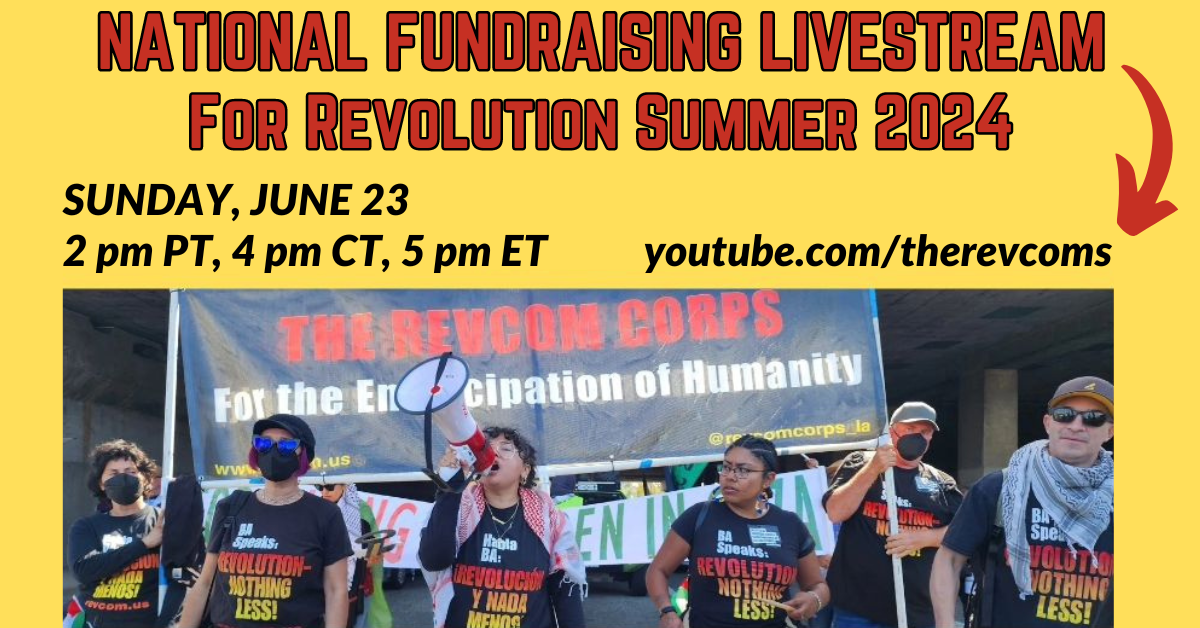 Fundraising livestream for Revolution Summer