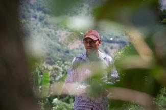 A person is seen standing through leaves. 