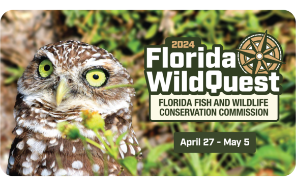 Advertisement for Florida WildQuest featuring a burrowing owl