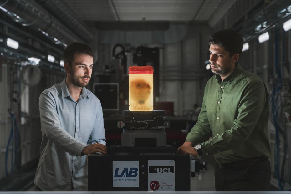 VIDÉO. Une imagerie du cœur humain à l'échelle cellulaire : découvrez la première cartographie de l'organe en 3D