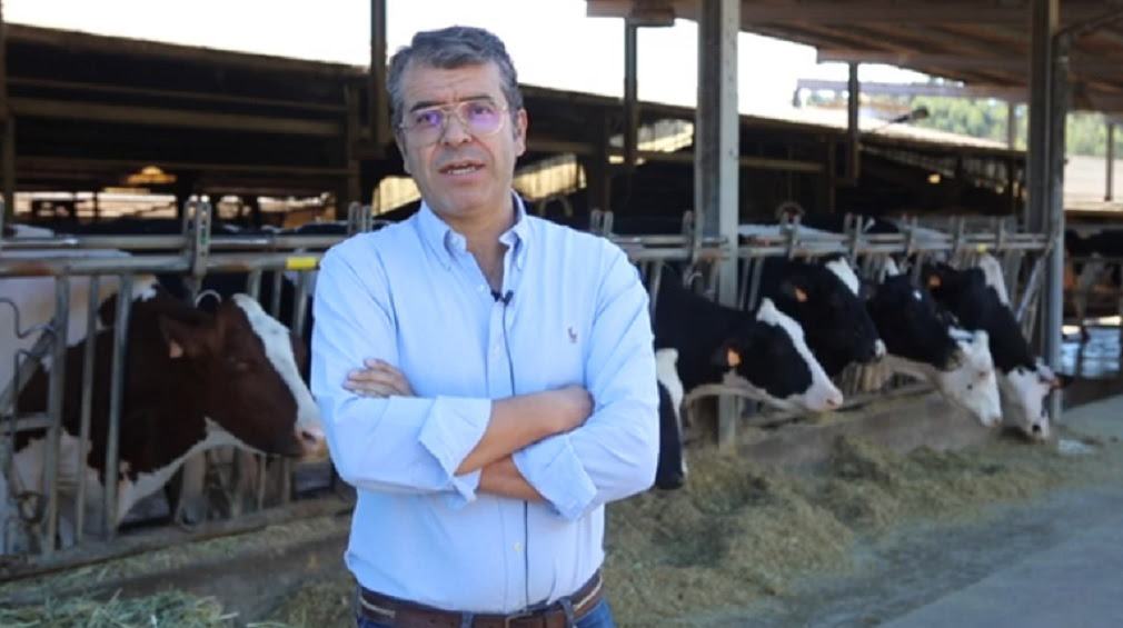 Crianza de terneros a la par