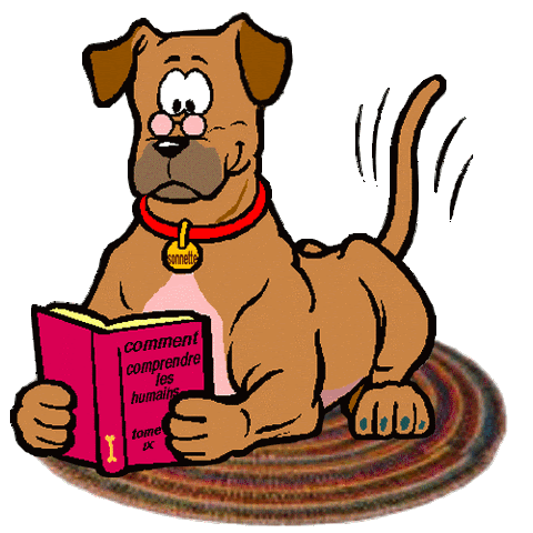 Reading-Book-Dog