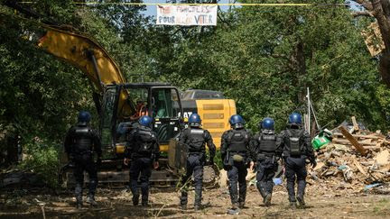 Chantier de l'A69 : près de 60 arbres abattus sur le tracé de l'autoroute, 17 interpellations depuis vendredi