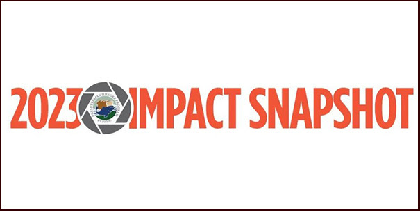 2023-Impact-snapshot-logo