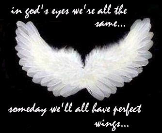 Wings-Perfect