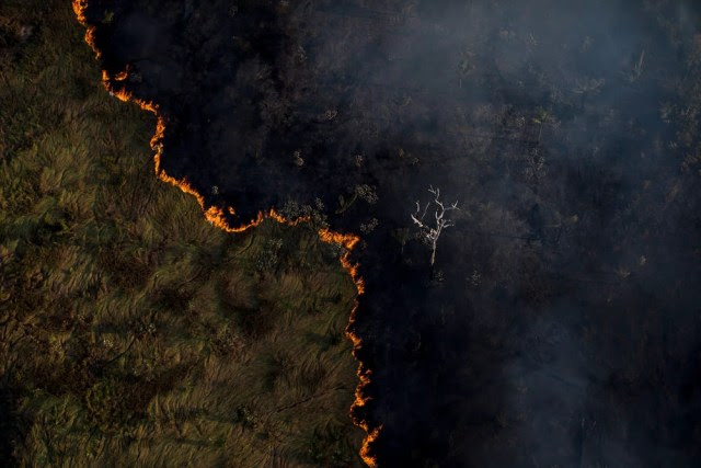 Imagem aérea mostra desmatamento e queimada em região de floresta
