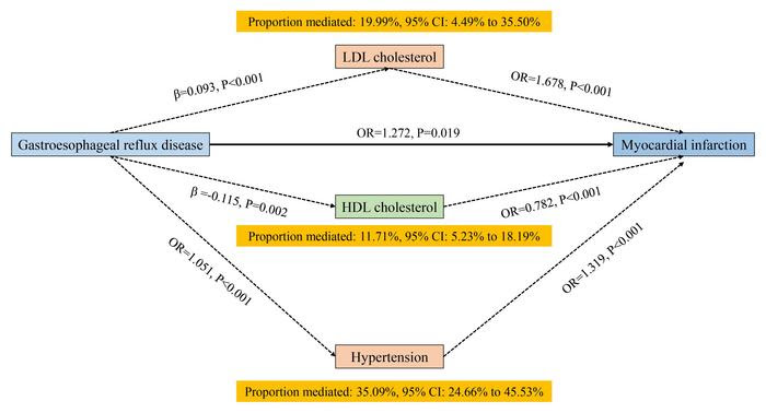 This graphic show mediation MR analysis to investigate how LDL cholesterol, HDL cholesterol, and hypertension mediate the effect of GERD on myocardial infarction.