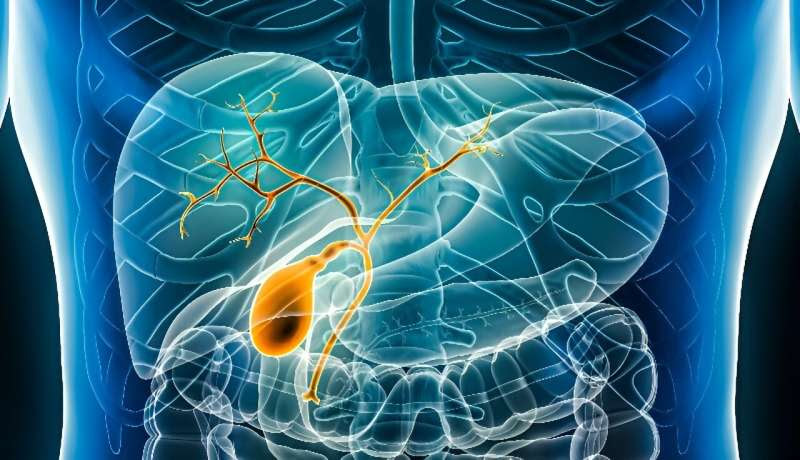 Seladelpar beneficial for patients with primary biliary cholangitis