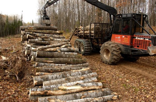 Timber harvests are an important part of Michigan's $26 billion forest products economy. 