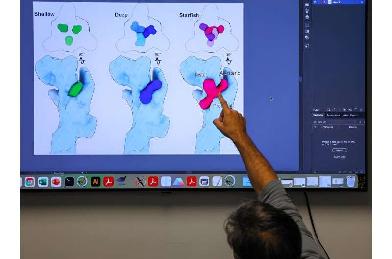 Researchers discover new ways to 'turn off' receptor involved in inflammatory diseases