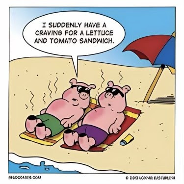 Joke-Pigs-sunbathing-make-them-hungry