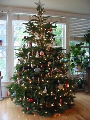 christmas-tree-beautiful