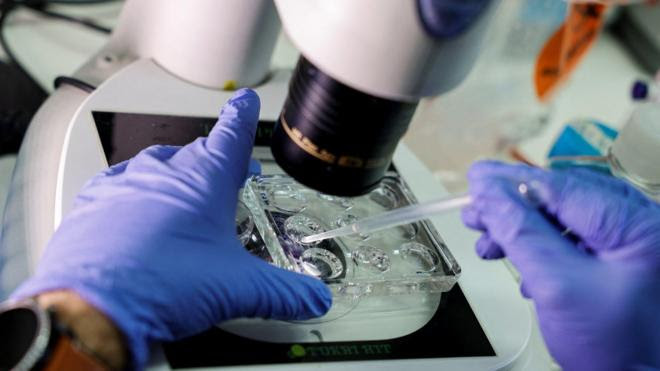 Pessoa com luvas usa microscópio em laboratório