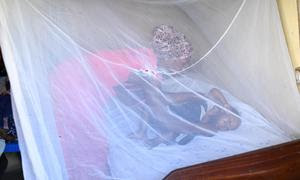 Una madre acuesta a su hijo de un año dentro de un mosquitero en una zona rural de Uganda. 