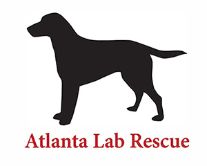 Atlanta Lab Rescue