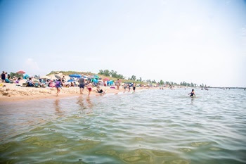 A crowd of beachgoers sprawls across a shoreline, mingling in the water and on the sand.