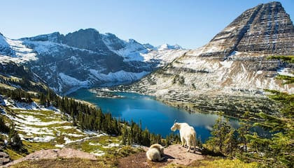 Este parque nacional, famoso por sus paisajes glaciares, está experimentando rápidos cambios. Según el Servicio Geológico de Estados Unidos, los glaciares del parque han perdido cerca del 44% de su masa desde la década de 1970 (AARP)