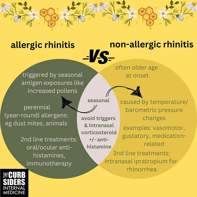 photo of Rhinitis