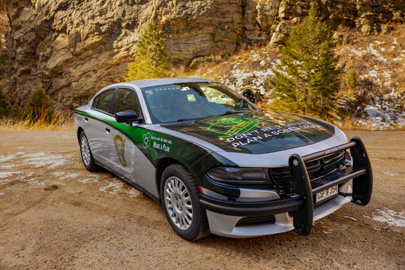 St Patricks day patrol car