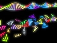 Troubleshooting Nucleic Acid Electrophoresis