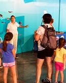 A person instructs a group of people at an ocean-themed visitor center