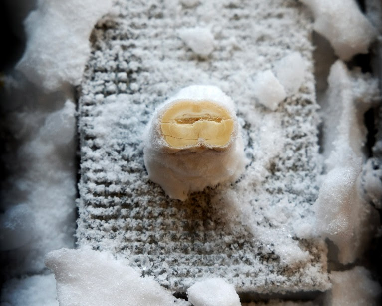 Close up view of a frozen rat brain sample.