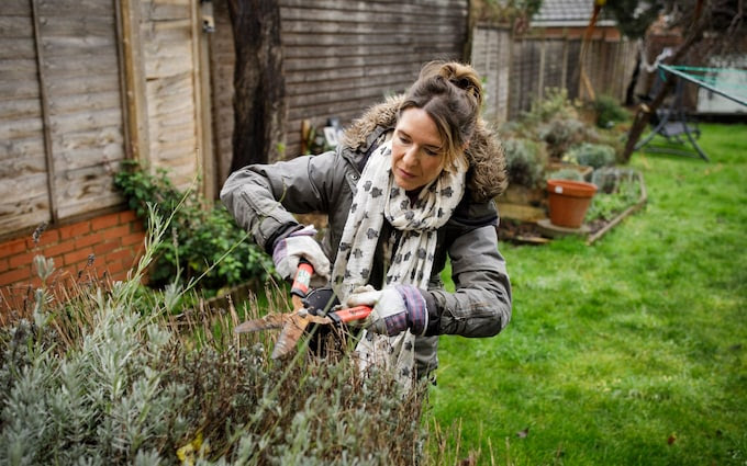 A woman trims some plants in the garden