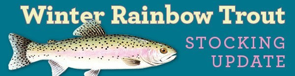 Winter Rainbow Trout Stocking Update