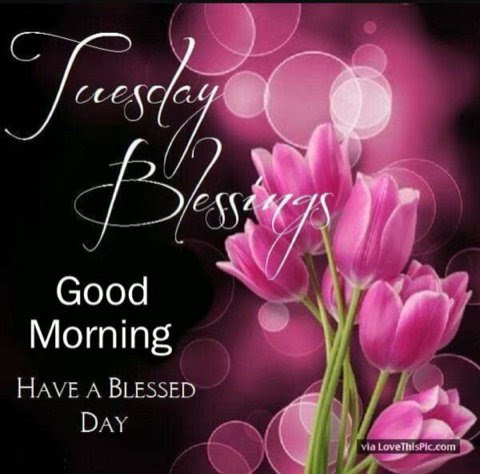 Tuesday-Blessings-Good-Morning