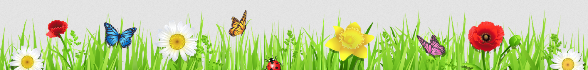 Decorative Spring Banner.