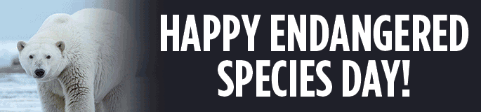 Happy Endangered Species Day Happy Endangered Species Day