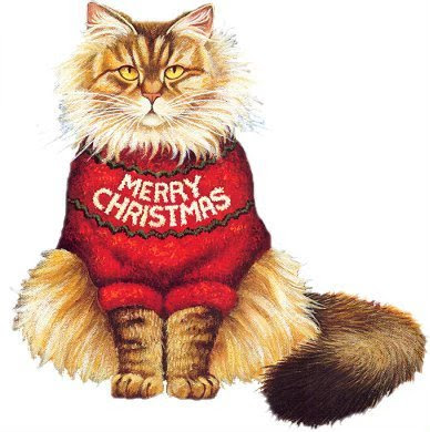 Christmas-Cat-merry