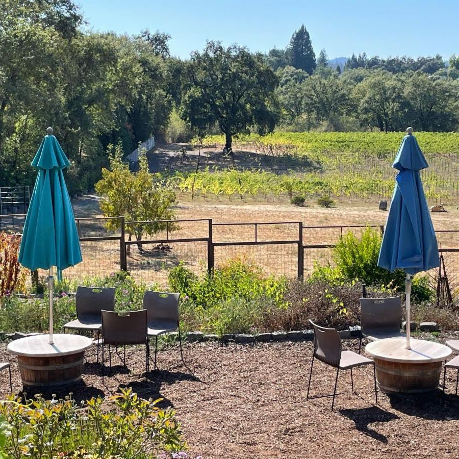 chairs and table snad vineyard